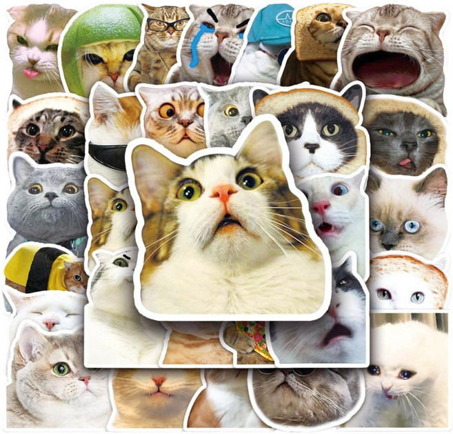 치명적인 매력의 고양이 냥이 50마리 모음 스티커 폰꾸 다꾸 노트북 방수 스티커 50P, 1세트