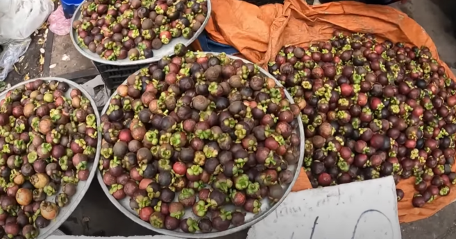 1+1 동남아 얼린 망고스틴 아이스 총2kg 베트남 태국 말레이시아 싱가폴 필리핀, 1개