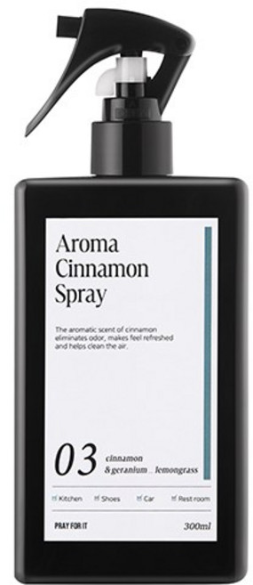 프레이포잇 아로마 시나몬 스프레이 탈취제 본품, 300ml, 1개