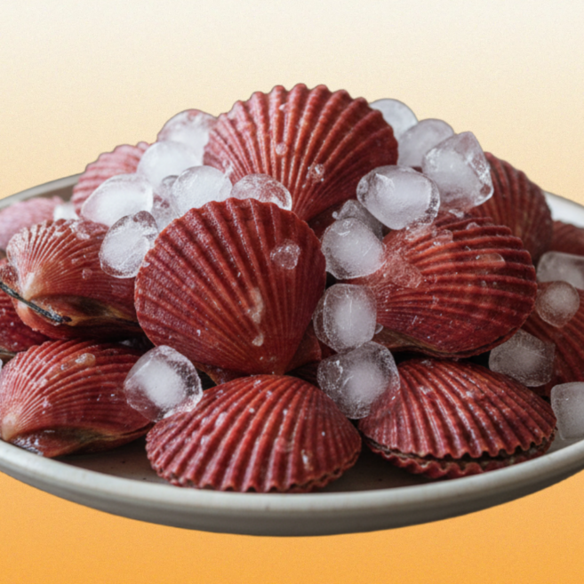 [자연해담] 산지 당일조업 청정통영 해감된 맛있는 홍가리비 세척선별, 1개, 3kg