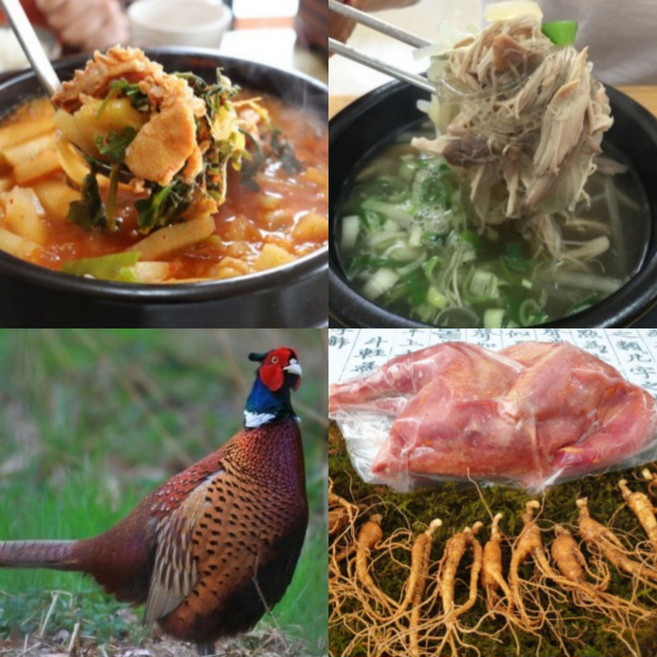 꿩 고기 장끼 암꿩 까투리, 장끼(숫꿩), 1개