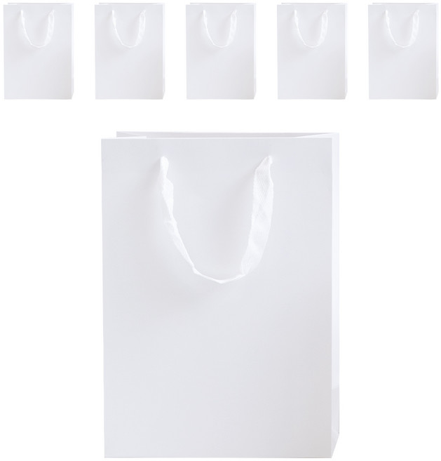 VITALO 프리미엄 무지 쇼핑백 세로형 선물포장 두꺼운 튼튼한 종이 쇼핑백 쇼핑가방 6P, 6개, WH(화이트)
