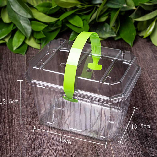 과일 포장 용기 200개 야채 배달 케이스 케이크 손잡이 상자, 1개