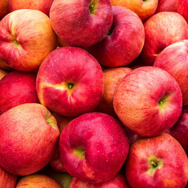 아삭달콤 가정용 햇사과 사과, 1개, 3kg(중과)