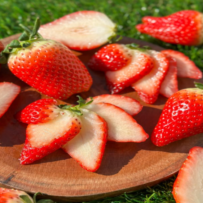 [최저가도전] 산지직송 고당도 100% 당도선별 킹스베리, 1개, 400g(대왕특)