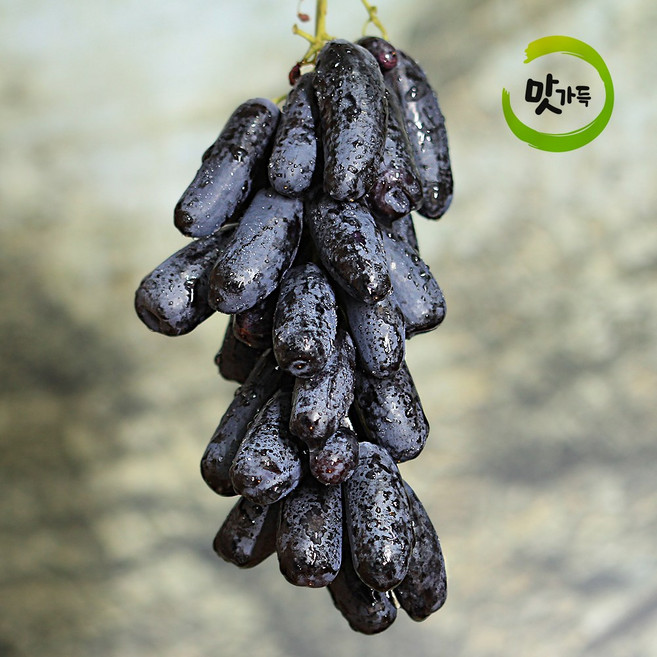 블랙사파이어 500g 가지포도 맛가득 프리미엄, 블랙사파이어 2kg, 1개