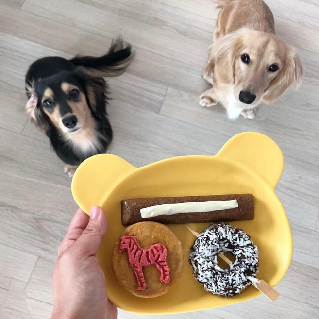 Pet Park 곰 모양 도자기 애완동물 먹이 그릇DJHBI-25FH, 라이트 핑크, 1개