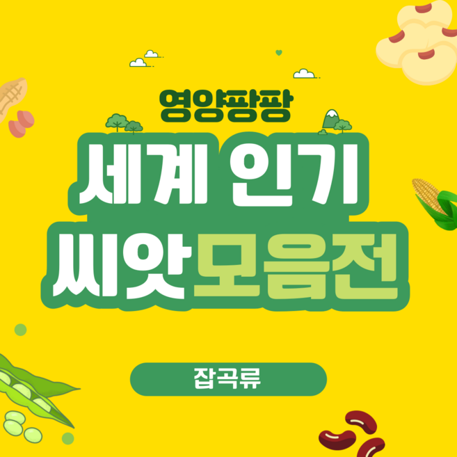 잡곡류))인기 채소씨앗모음전 / 세계종묘 아시아종묘 /엽채류 양채류 근채류 등, 17. 슈퍼동오참깨 3000립, 1개