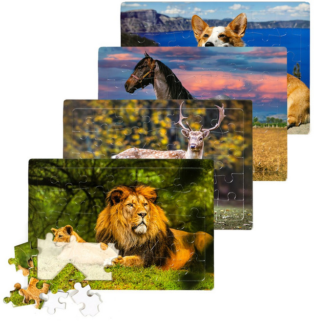 인지놀이를 위한 동물퍼즐 A4 35피스, 사자세트(A set), 1세트