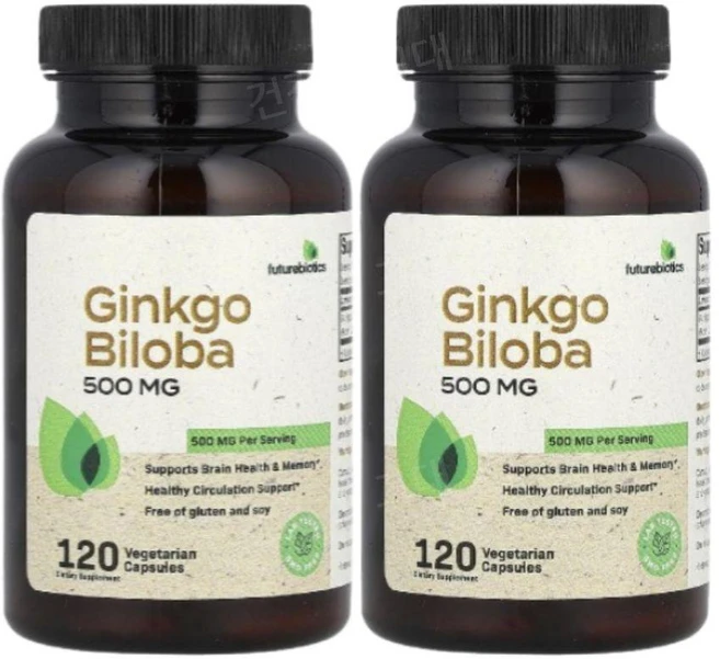 퓨처바이오틱스 은행나무잎추출물 징코빌로바 500mg 120캡슐 2개 GinkgoBiloba, 120정 - 쿠팡
