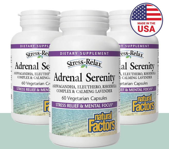 내추럴팩터스 아드레날 세레니티 60베지캡슐 3개 아슈와간다 가시 오가피 오갈피 나무 홍경천 로사빈 살리드로 시드 사이드 로디올라 라벤더, 60캡슐