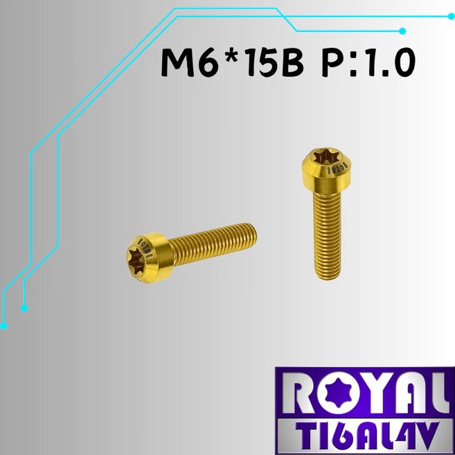 ROYAL 鈦合金螺絲 M6*15B P:1.0 錐形螺絲, 1個