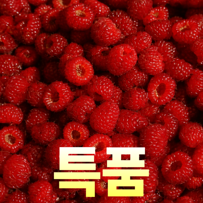 당일수확 국내산 특품 생 산딸기, 1개, 250g (1팩)