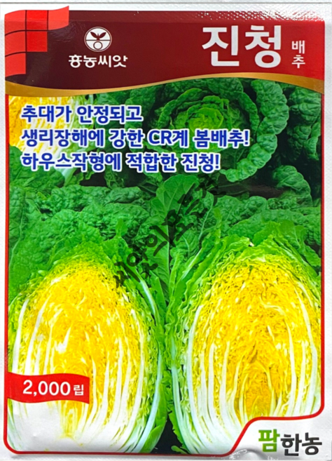 CR진청 봄배추씨앗 2000립 하우스봄배추 종자 팜한농