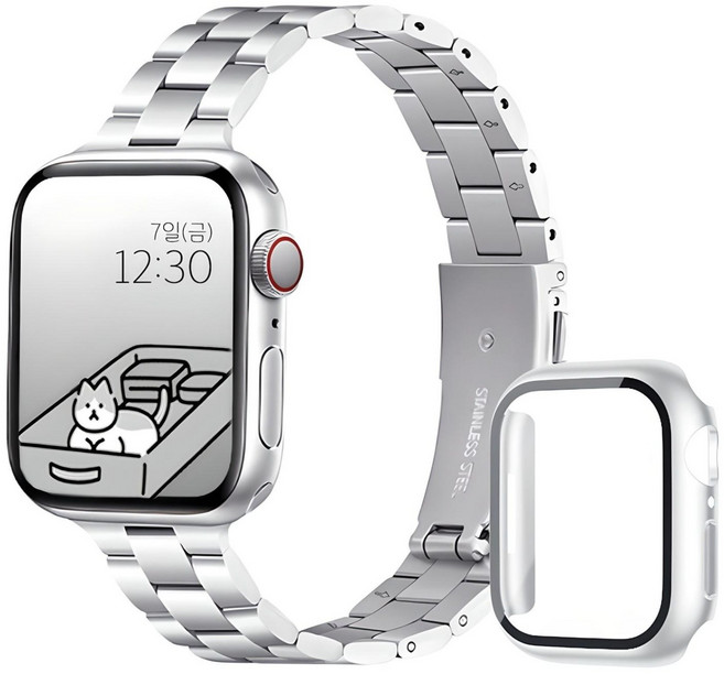 아이비온 애플워치 슬림 메탈 스트랩 40 44 + 풀커버 케이스 세트, 퓨어실버