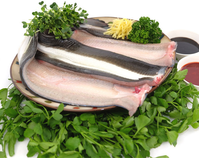 벌떡장어 국내산 자포니카 풍천 민물장어 1kg 손질후 700g, 풍천민물장어 1미~4미 1kg (장어만), 1개