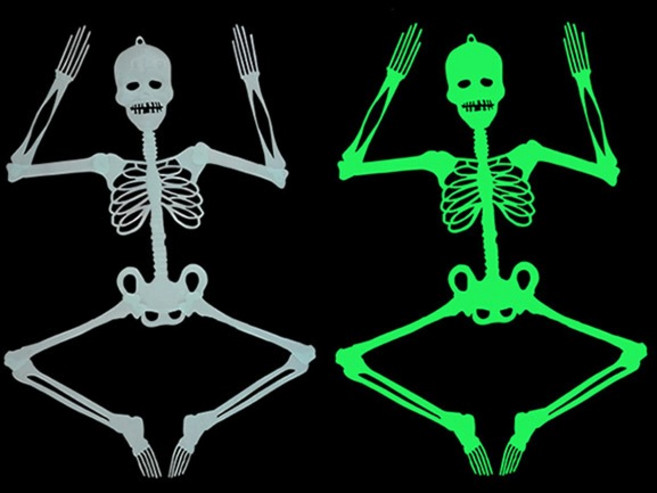 야광 인체골격 모형(대형 90cm)