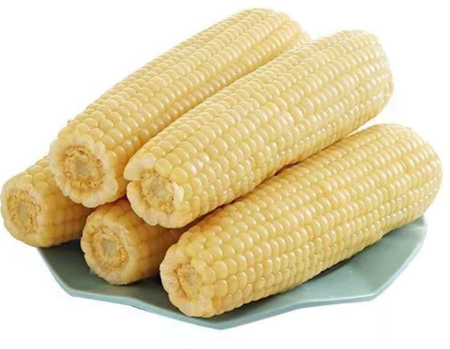 [마지막물량특가] 특대사이즈 냉동생옥수수 강원도 찰옥수수, 1박스, 10개