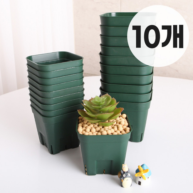 대성식물 슬릿화분 행잉 플라스틱 걸이 모스그린 10개입, 10개, 그린