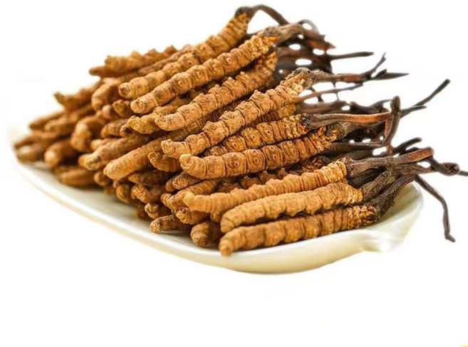 자연산 동충하초~6~10마리 (3그램), 1개, 3g