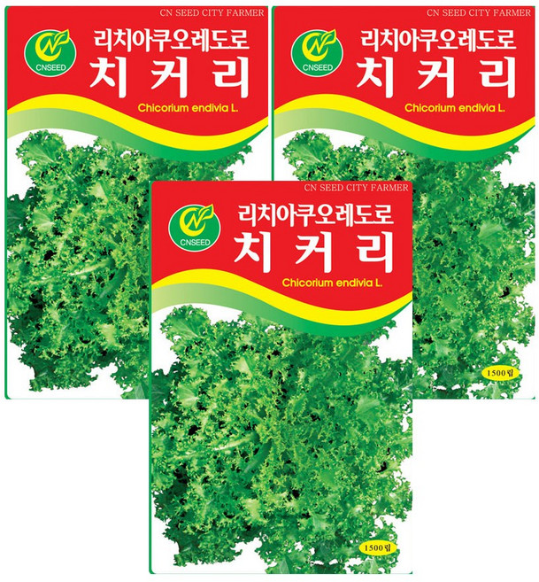모두다 채소씨앗 치커리씨앗(1500립), 3개