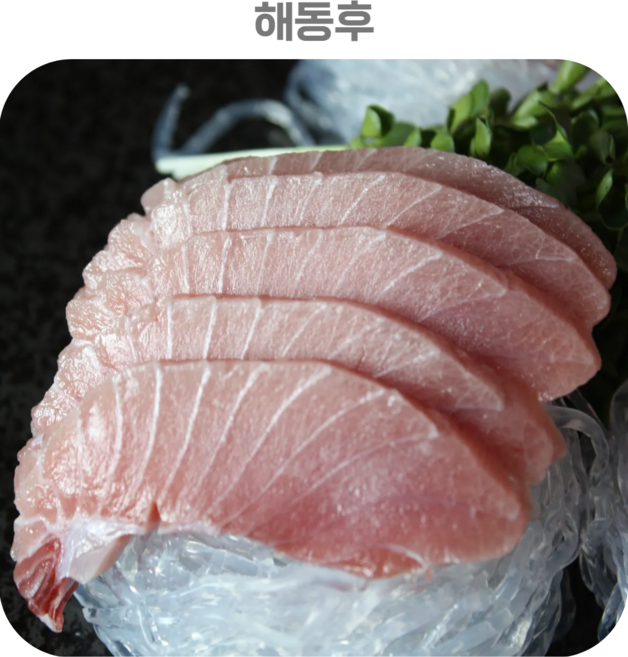 SA급 눈다랑어 뱃살 [아름푸드X순수산], 1박스, 3kg
