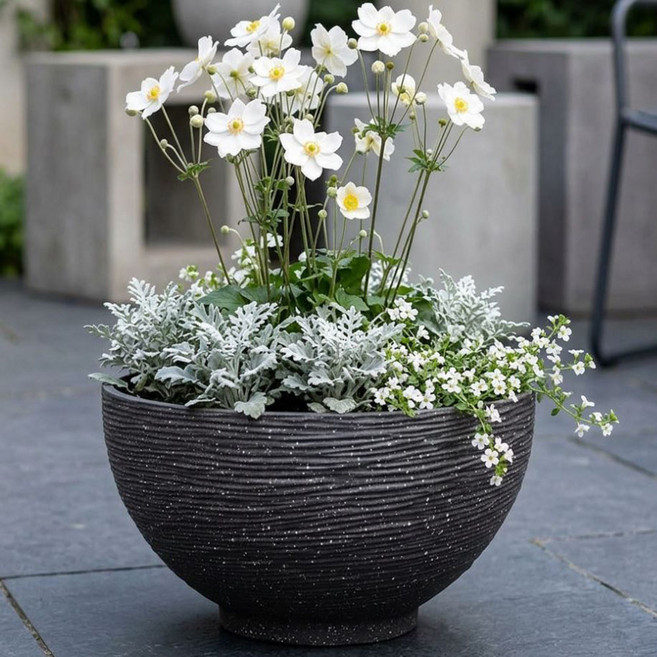 osshop 수경재배 대형 플라스틱 수반, 수반 - 블랙 45cm