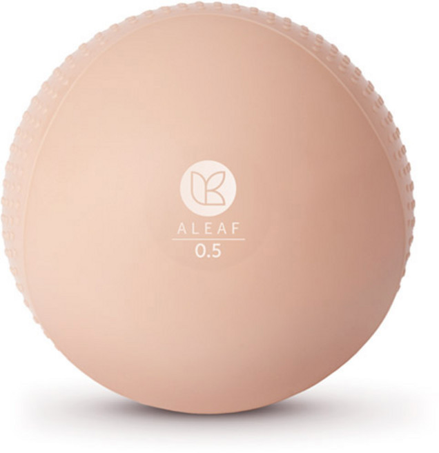 아리프 소프트 그립 토닝볼 0.5kg 2개입 웨이트볼, 단품