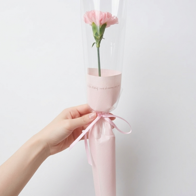 [예약가능] 카네이션 한송이 포장 생화 꽃배달 어버이날 스승의날 가정의달, 1개, 연한색