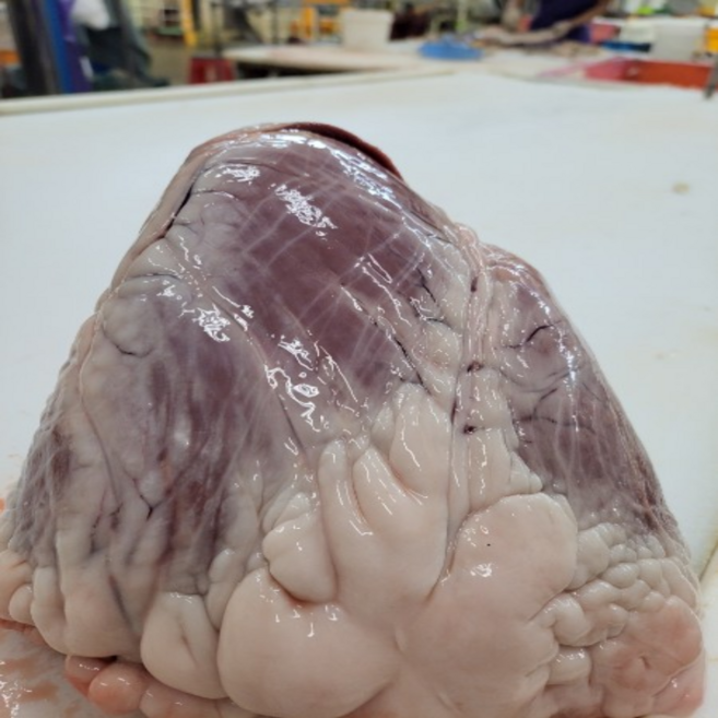 대감식품 국내산 도매 염통 한우, 1개, 600g