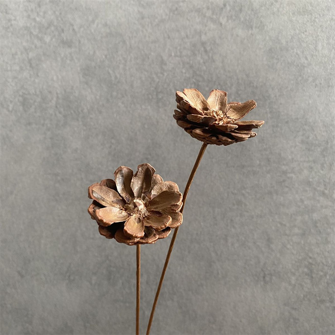 天然松果干花乾果 橡果蓮蓬乾燥花 乾燥花飾品, 1個, 去頭松果3支