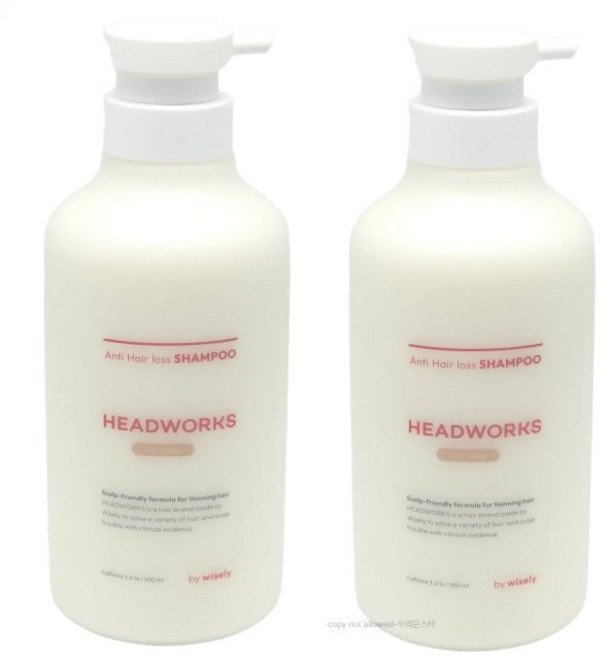 헤드웍스 탈모 카페인샴푸 지성용 500ML 2개