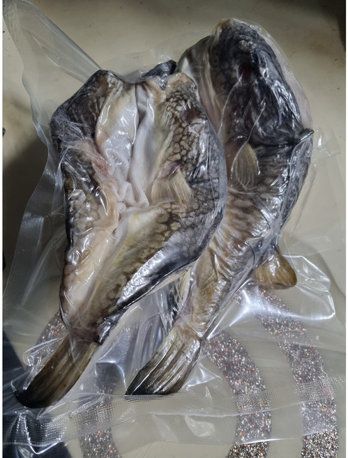 완도 자연산 손질복어 500g 2-3미 말린복어 복지리 복국 까치복 참복, 손질복어반건조2-3미500g, 1개