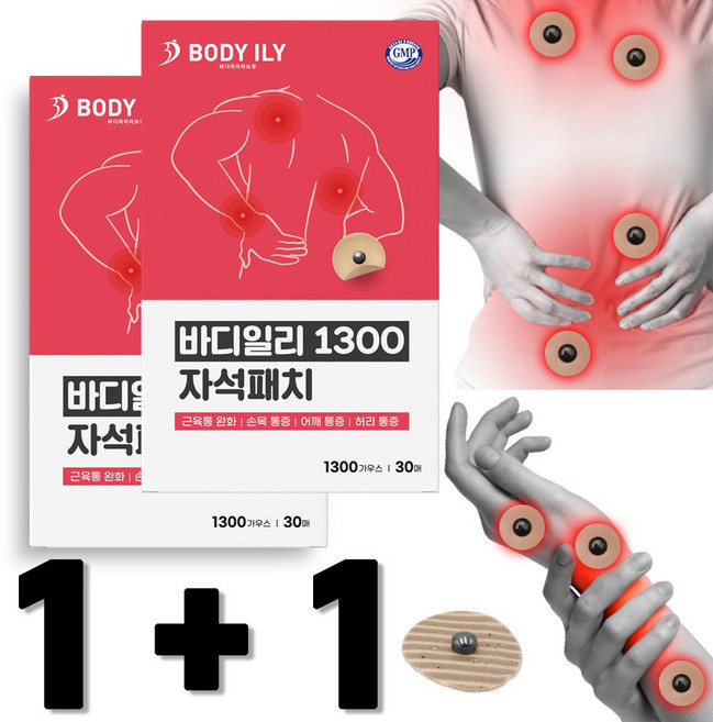 1+1 바디일리 1300가우스 자석패치 30매+30매, 1세트