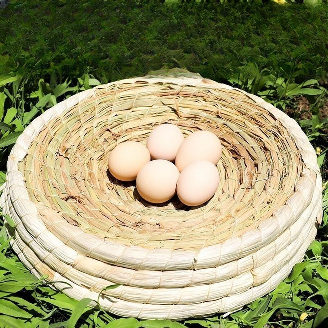 산란둥지 왕골 닭용 야외 보온 휴식처, 1개, 6_40cm암탉2마리전복방지알통