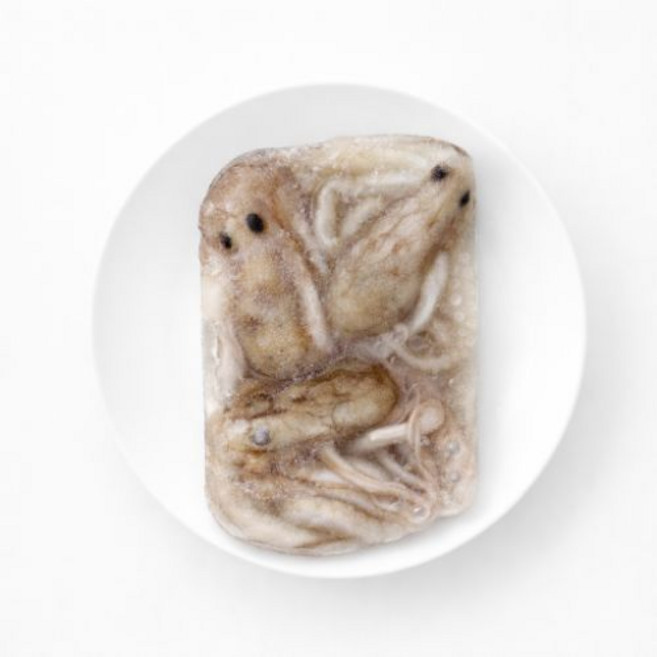 급냉 활낙지 냉동낙지 4미900g~4kg 낙지볶음재료 연포탕재료, 1개, 4마리