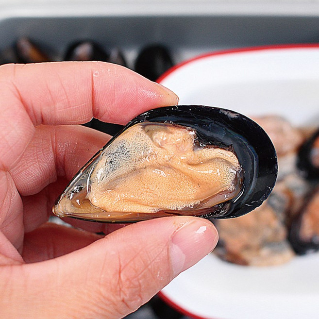 통수산 통영 홍합 제철 싱싱 통영 산지직송 탕용, 홍합3kg(탕거리용), 1개