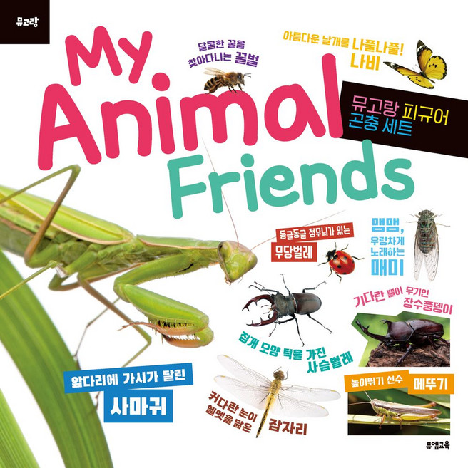 (뮤고랑) My Animal Friends 곤충, 뮤엠교육, 뮤엠교육 글창작연구소(저)