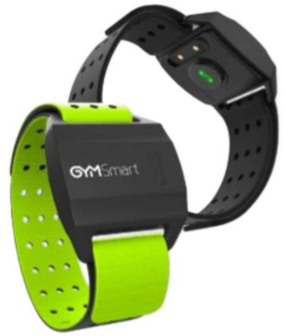 자전거 팔뚝 심박계 암밴드 센서 등산 모니터 사이클 스트랩 스포츠, 1개