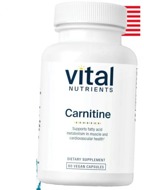 L카르니틴 엘카르니틴 피로 바이탈 뉴트리언츠 카르니틴 500mg 건강 지원용 비건 에너지 지원 유제품 대두, L-카르니틴 엘카르니틴 피로개선 바이탈 뉴트리언츠 카르 - 쿠팡