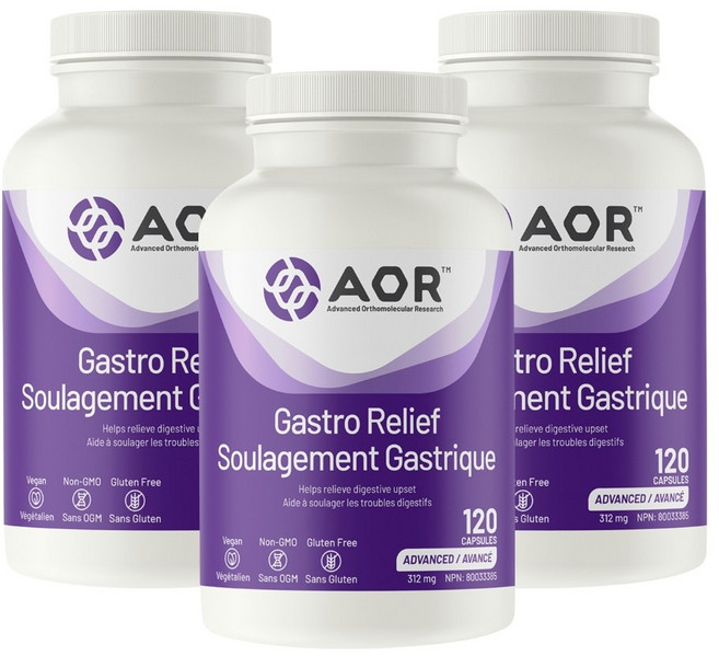 (3병) AOR Gastro Relief 120캡슐 에이오알 가스트로 릴리프 매스틱검 알긴산 아연 카르노신 캐나다 직구, 3개, 120정