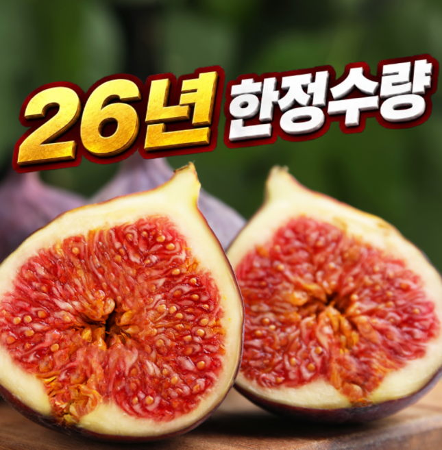 무화과 추천 TOP10 — [2주한정특가] 고당도 국산 생과 무화과, 1개, 1k