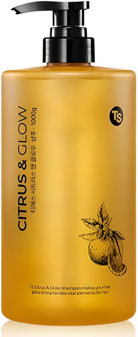 TS 시트러스 앤 글로우 샴푸, 1kg, 1개