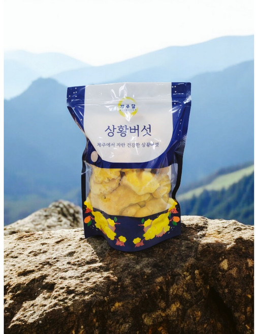 청정 제주상황버섯 제주달 유기농 상황버섯 단품, 1개, 알뜰200g