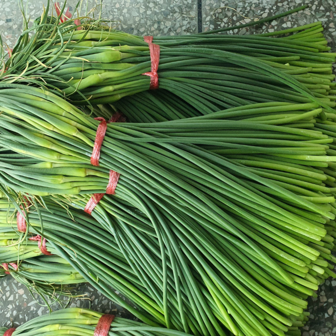 2026년 햇 남해 마늘쫑, 남해 마늘쫑 1kg 중품, 1개