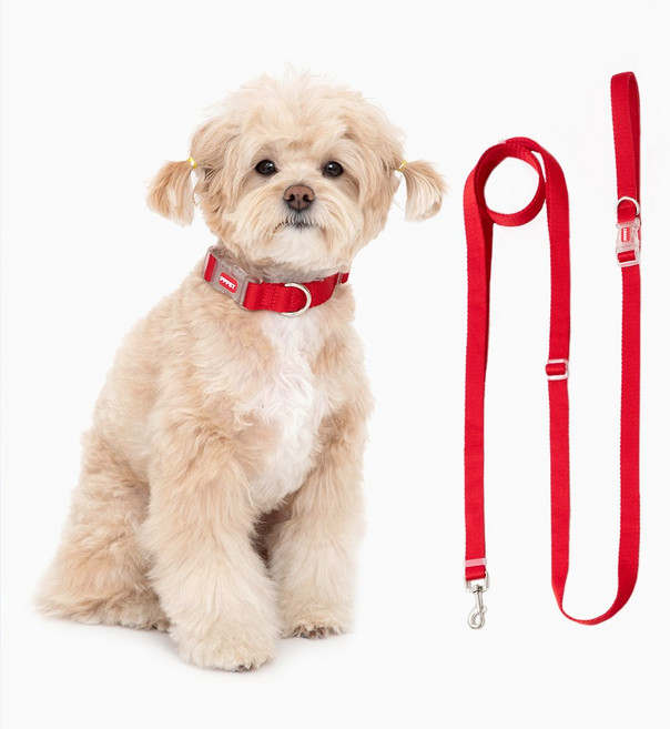펫펫펫 너랑나랑 강아지 목줄 + 리드줄, 레드, 1개