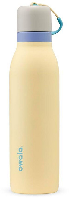 Owala FreeSip 트위스트 단열 스테인리스 스틸 물병 스포츠 및 여행용 빨대 포함 BPA 프리 532.3ml(18온스) 그레이/옐로우(써니 데이즈)