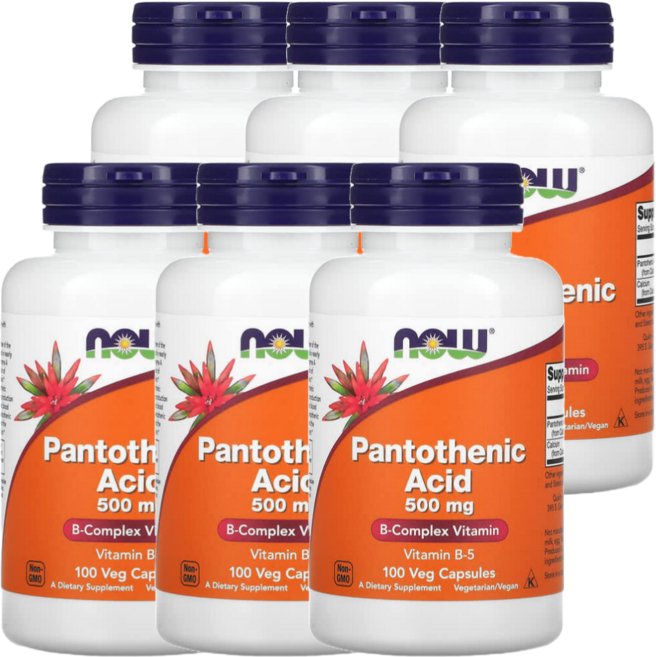 나우푸드 6세트 판토텐산 500mg 식물성 100 캡슐 복합 비타민 B5 칼슘 추출, 100정, 6개