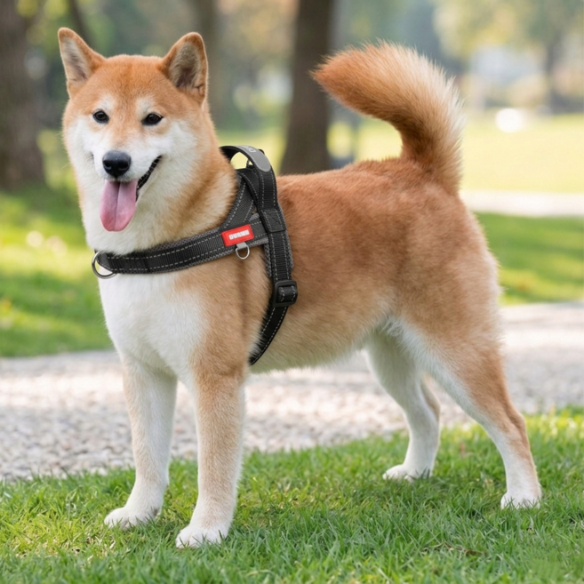 바밍펫 앞섬방지 강아지 하네스, 1개, 올블랙