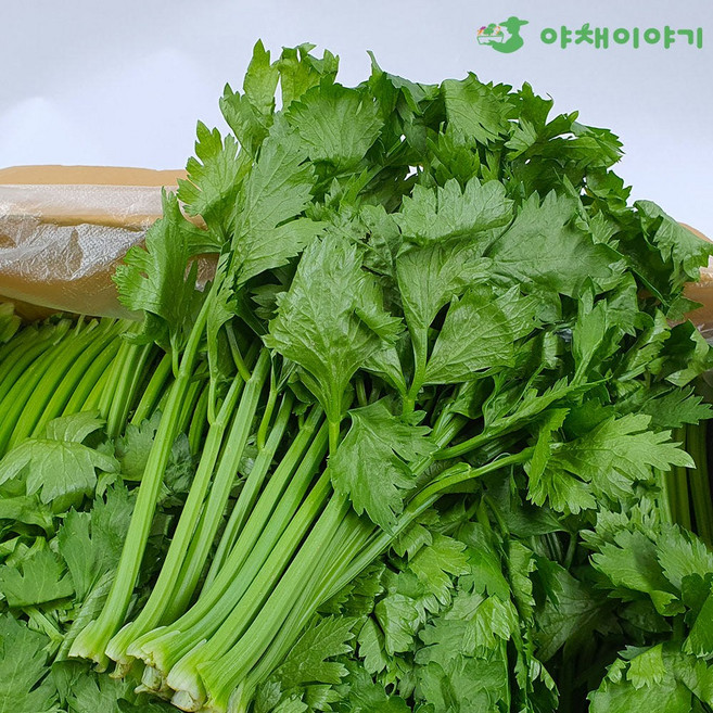 야채이야기 신선한 쌈샐러리 300g, 1개